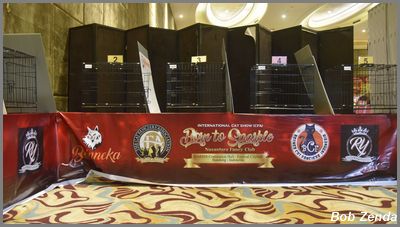 Judging Ring Decorations